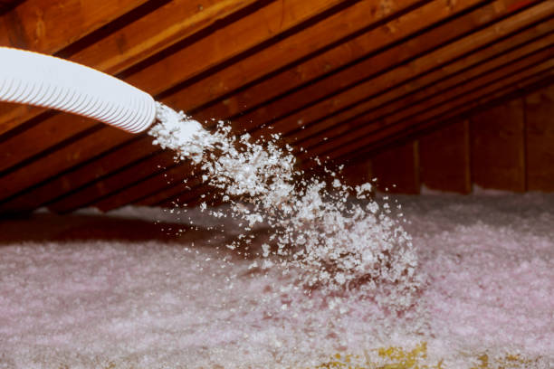 Best Spray Foam Insulation in Clayton, NM