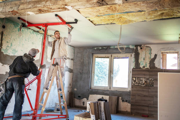Best Specialized Insulation Services in Clayton, NM
